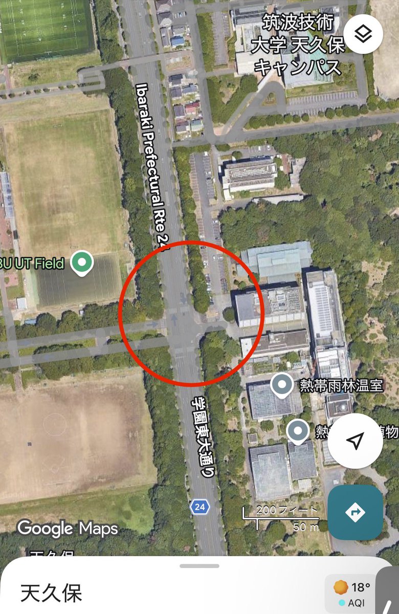 まるまる🍊𐀑 ꪾ tweet media