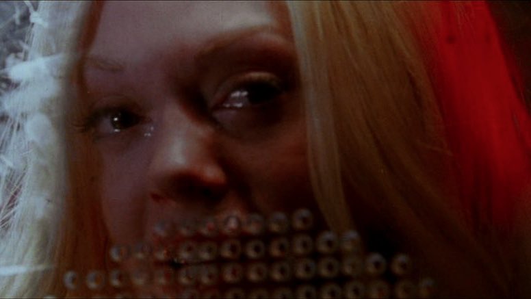 kai 🦇 tweet media