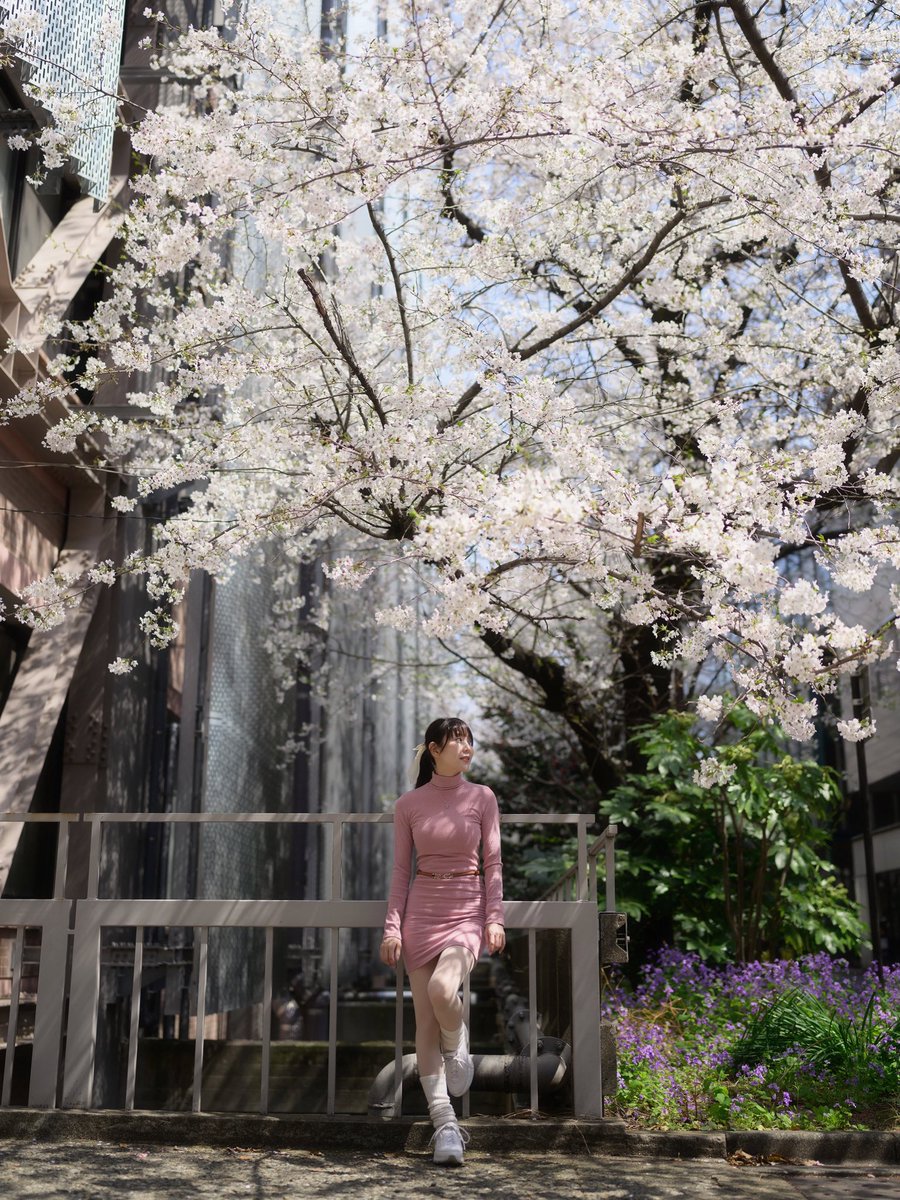 志乃蛍 tweet media