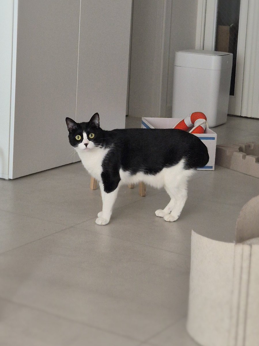 봉구네 김밥이 tweet media