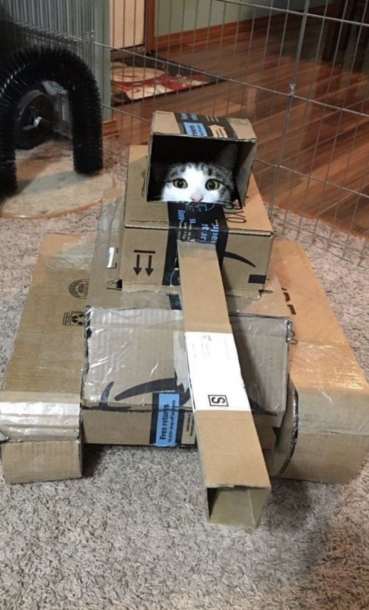 No Cats No Life tweet media