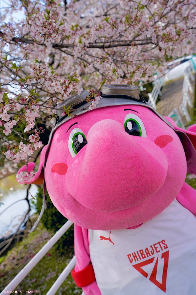 ハナよりジャンボ。#ひろしまえんそく