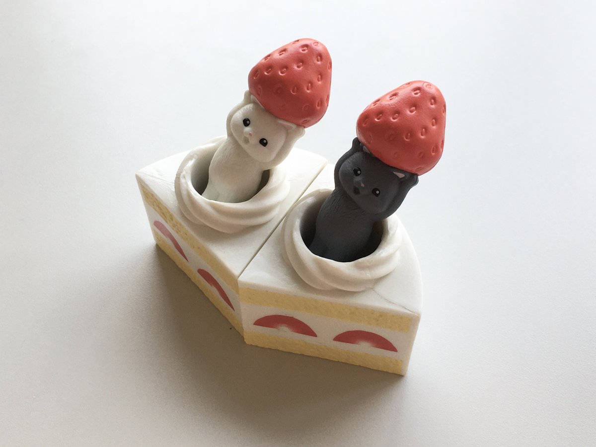 오늘하루🐷🍓🍰🐱🐈💕👈🏻