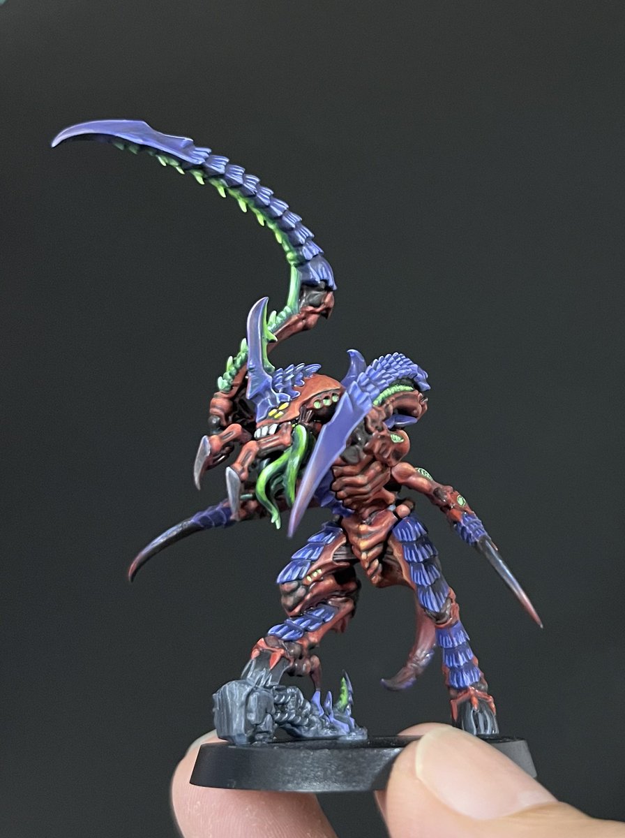 Toku_bay tweet media