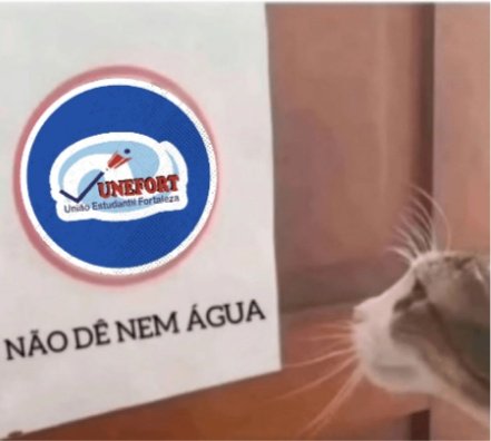 indígena caucaiense tweet media