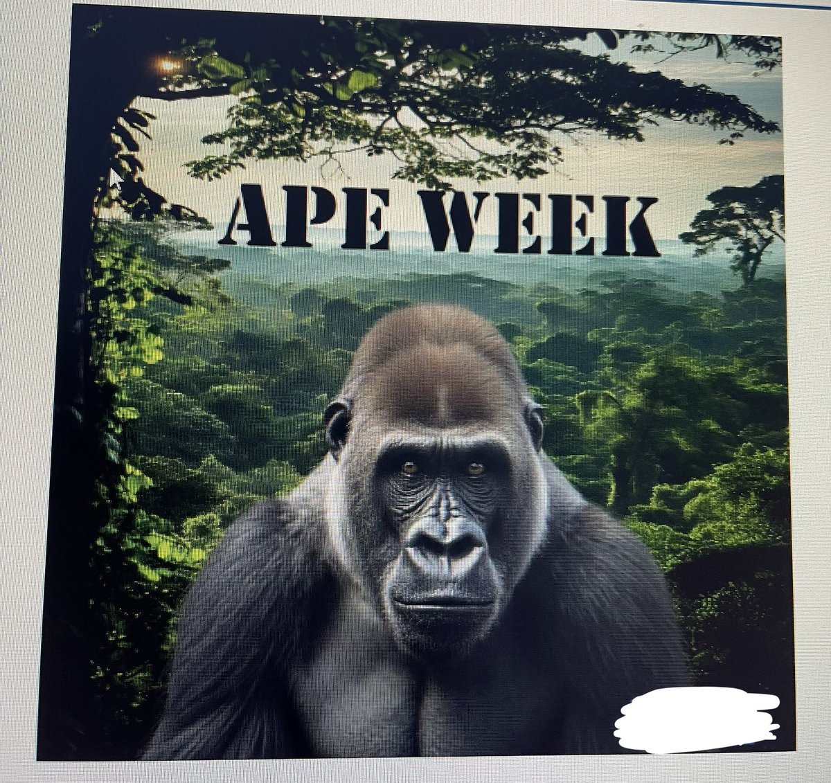 Spectere tweet media