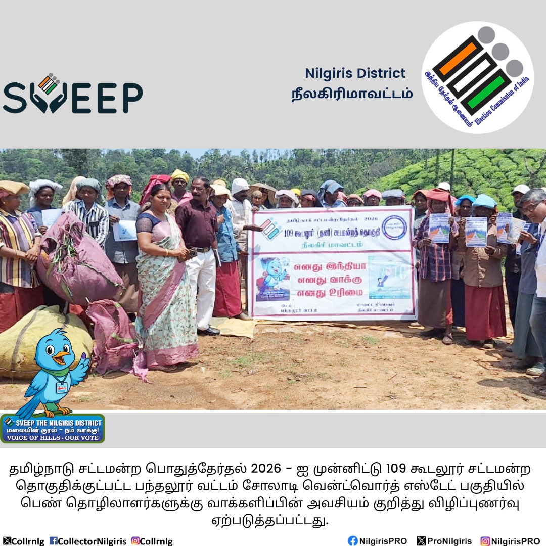 Collector & DM, The Nilgiris tweet media