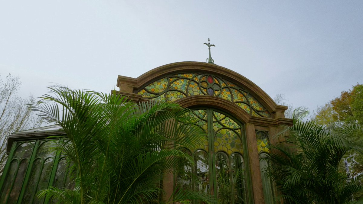 potternewshbo's tweet image. Step into Greenhouse One! 🌿✨

The #FindingHarry special gives us our first look at the new Herbology sets and they are stunning. Who else is ready to repot some Mandrakes? 🪴🧙‍♀️ #HarryPotter #Hogwarts