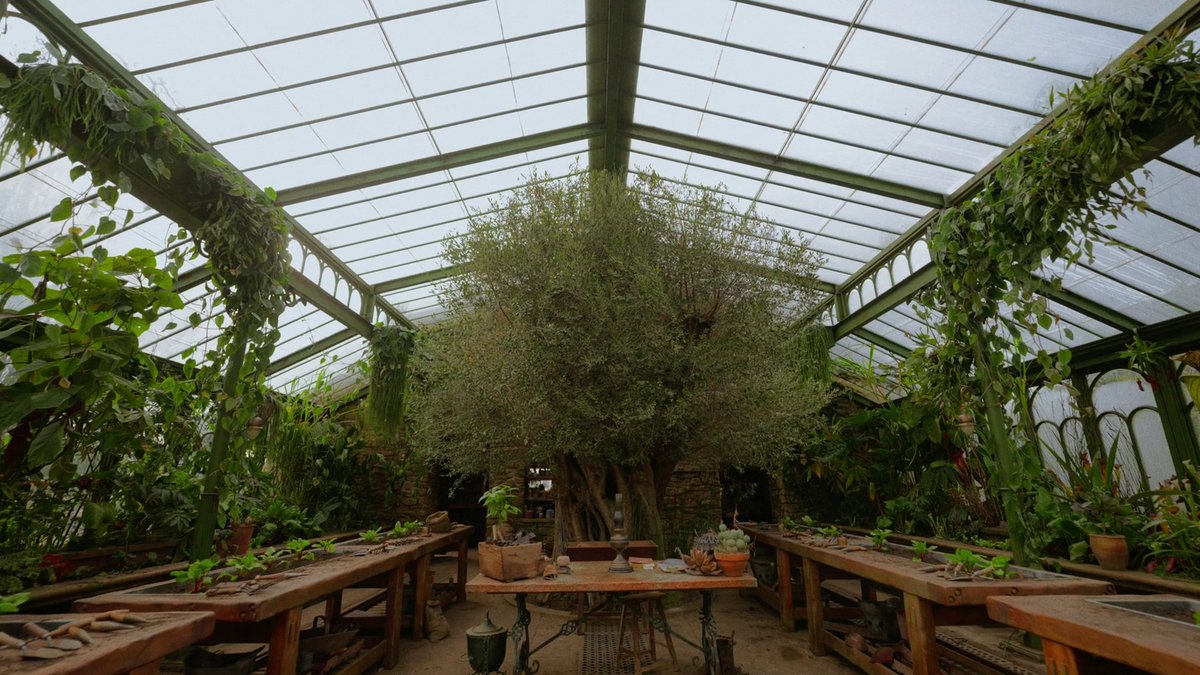 potternewshbo's tweet image. Step into Greenhouse One! 🌿✨

The #FindingHarry special gives us our first look at the new Herbology sets and they are stunning. Who else is ready to repot some Mandrakes? 🪴🧙‍♀️ #HarryPotter #Hogwarts