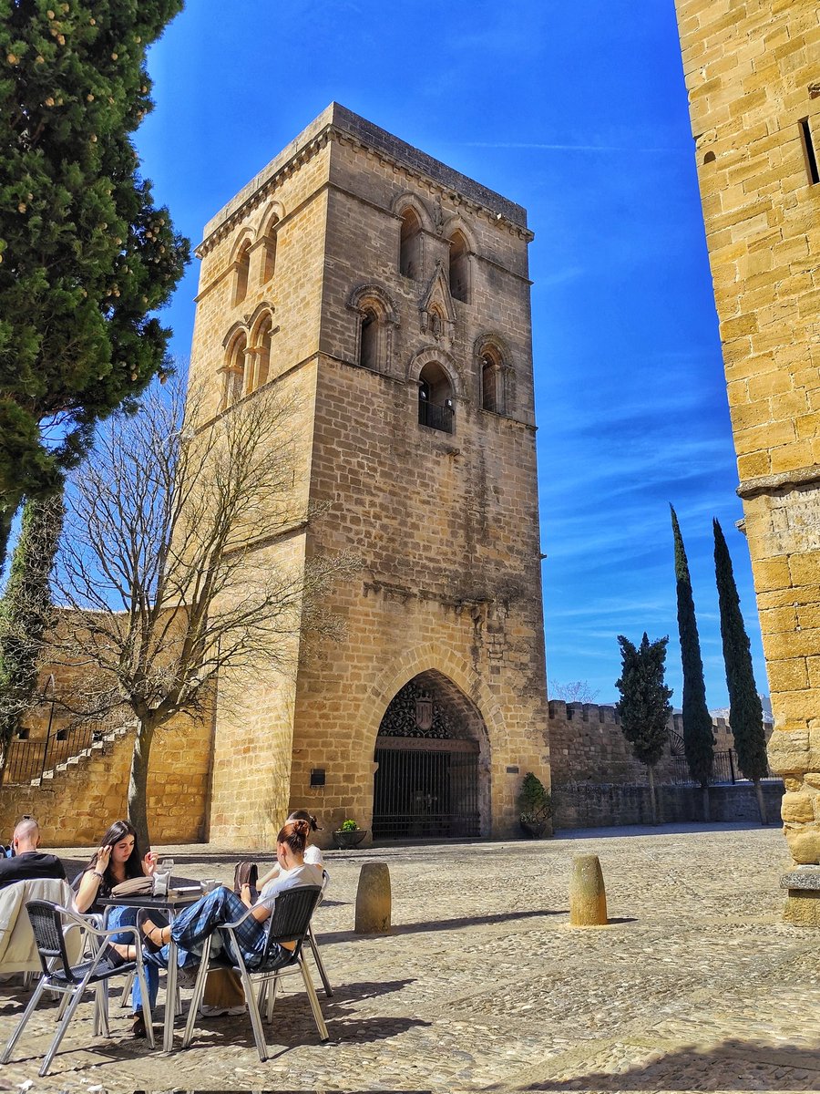 Oihan 🇵🇸 tweet media