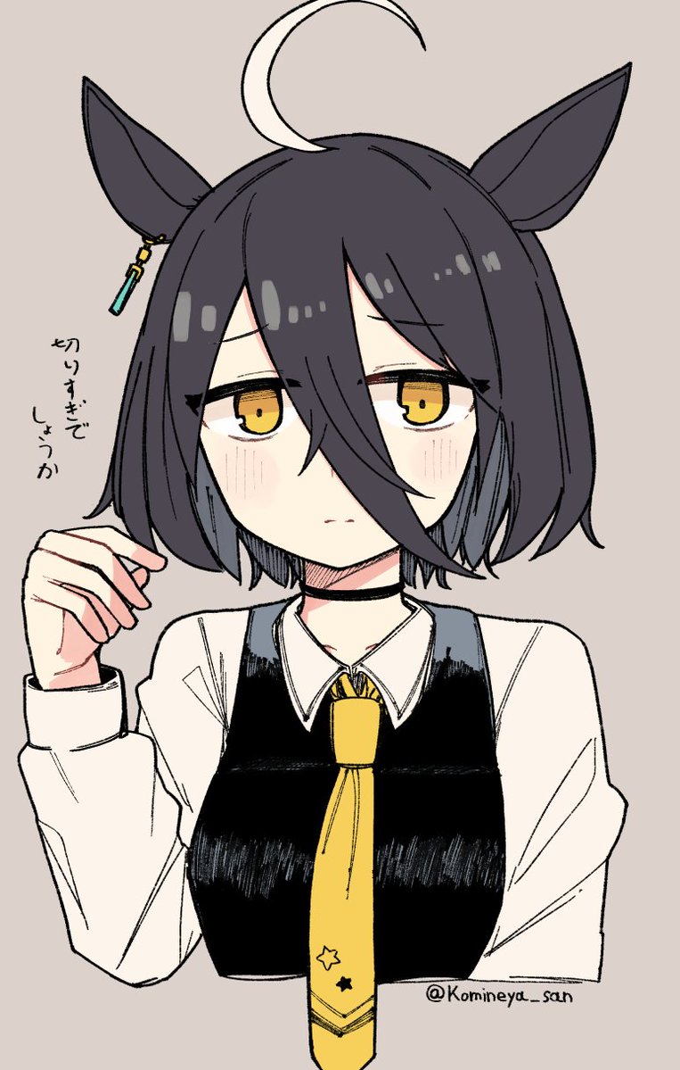 こみねや@例大祭 ぬ 50b tweet media