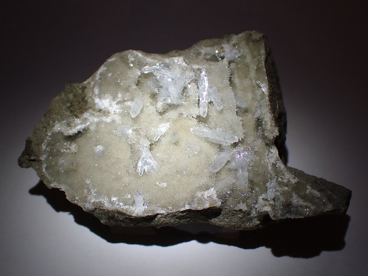 うらしー tweet media