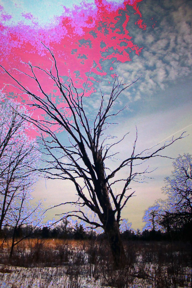 RDKLInc's tweet image. "BADGPU097"  -- 7 editions @ 3 XTZ, only 1 left! #BADGPU097

#glitch #glitchart #abstract #abstractart #lowrez #BADGPU097 #objkt #tezoscommunity #tezosart #TezosNFTs #objktnft