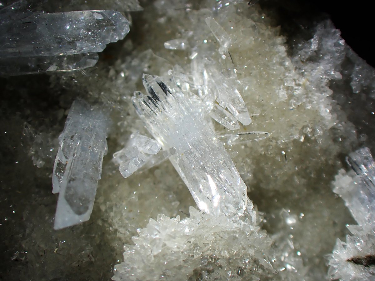 うらしー tweet media