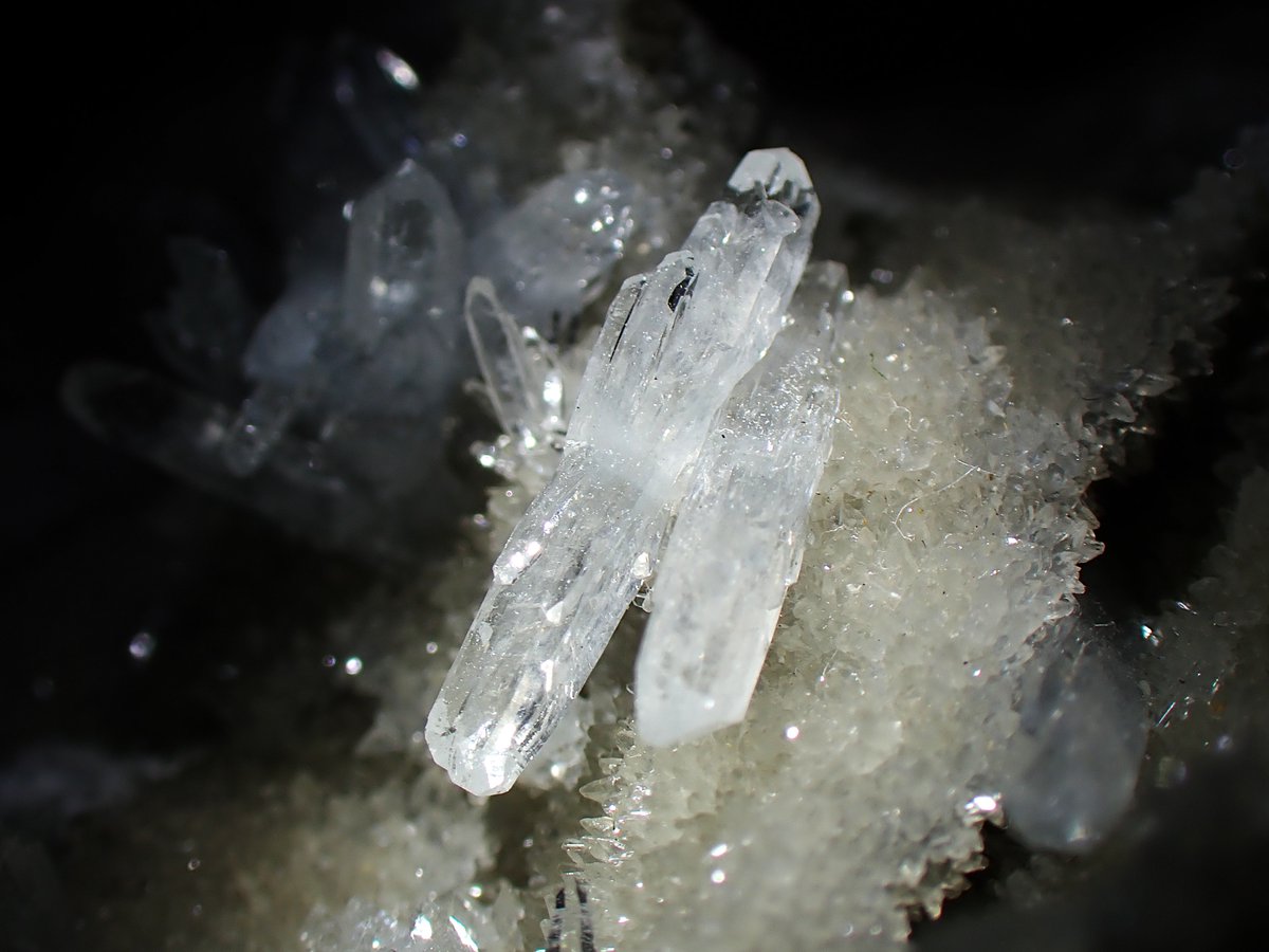 うらしー tweet media