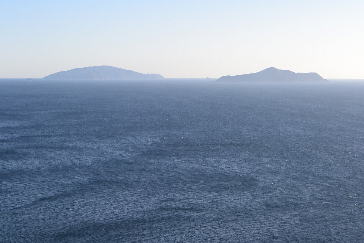 いちたか tweet media