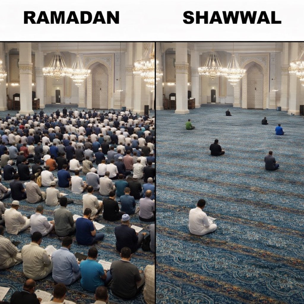 𝘉𝘢𝘧𝘧𝘢 tweet media