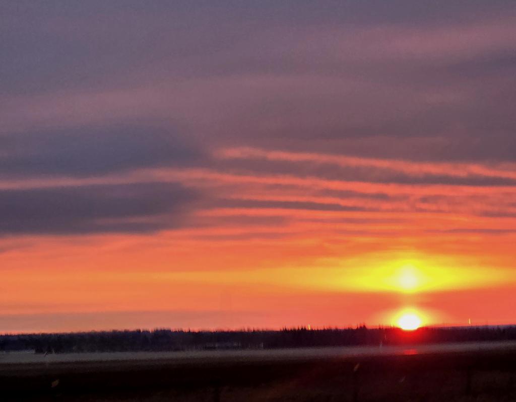 Barbara Madigin tweet media