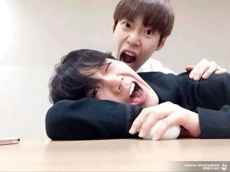 ndwp¹²⁷.☘︎ ݁˖•.°⋆:🍀:࿔*:･ semi - hiatus ( exams) tweet media