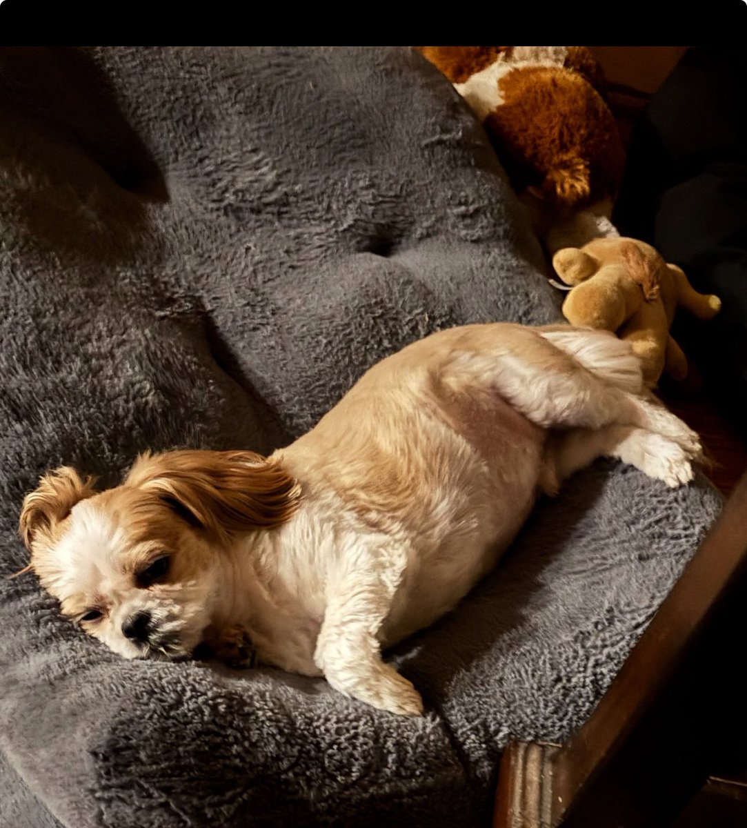 mae!! 🌼 tweet media