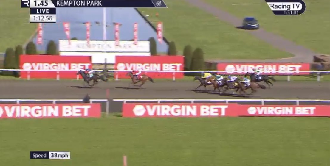 Insider Racing Tips tweet media