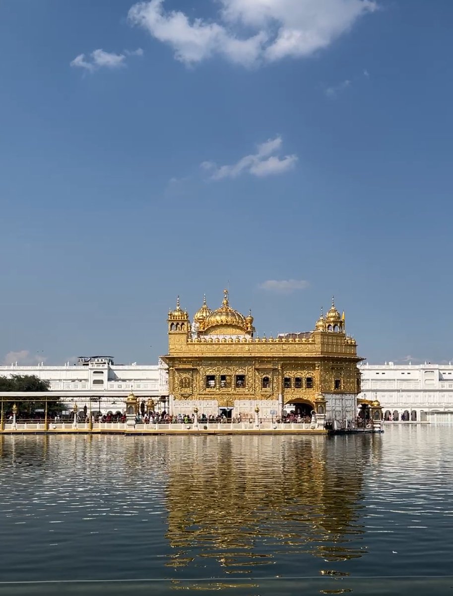 Sun glitter✨ tweet media