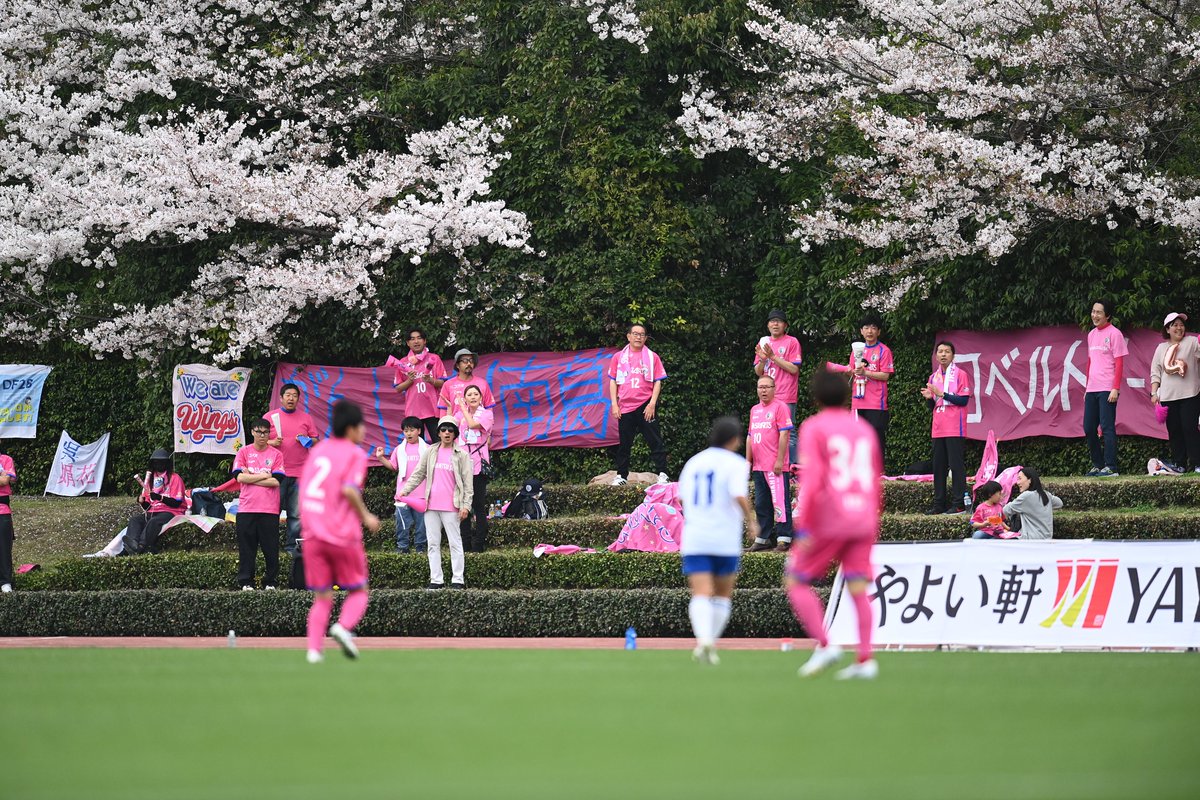 南葛SC WINGS tweet media