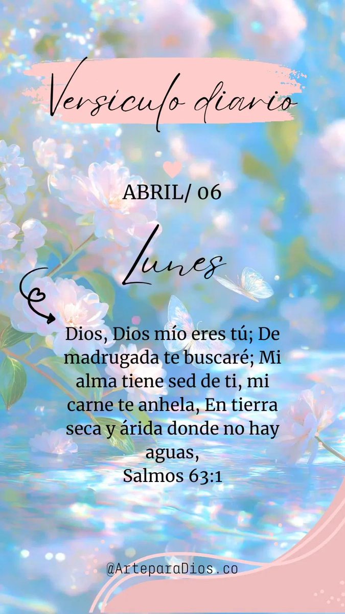 Blasko-Lavayen🇮🇱🇪🇨 tweet media