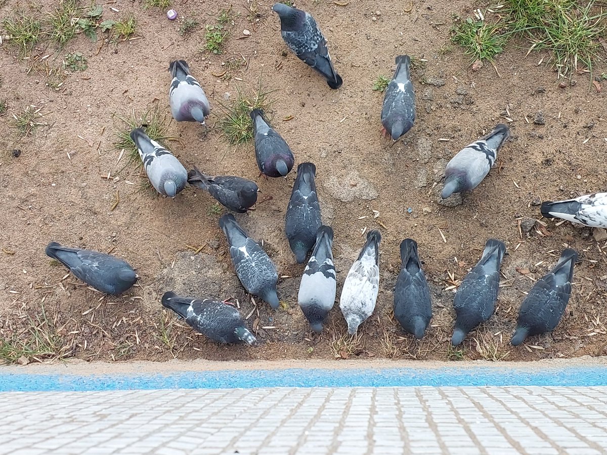 Виктор-Жанетта tweet media