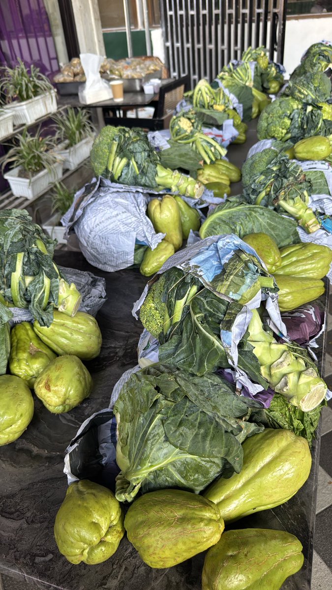 Jays (杰森) tweet media