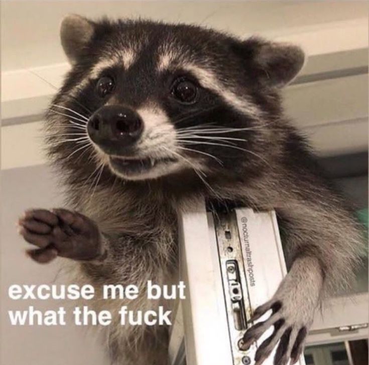 Shinchanchanchan tweet media