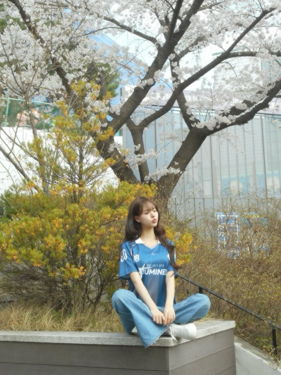 ann 🌻 tweet media