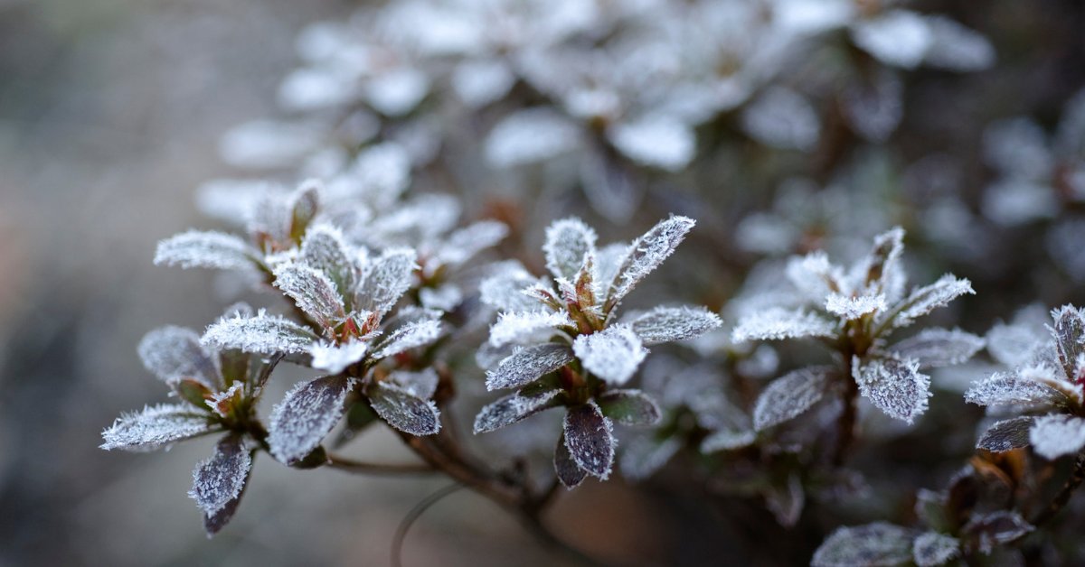 Birlik Haber Ajansı-BHA tweet media