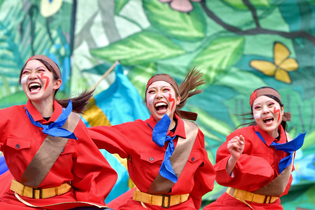 てりー★よさこい写真専用垢 tweet media