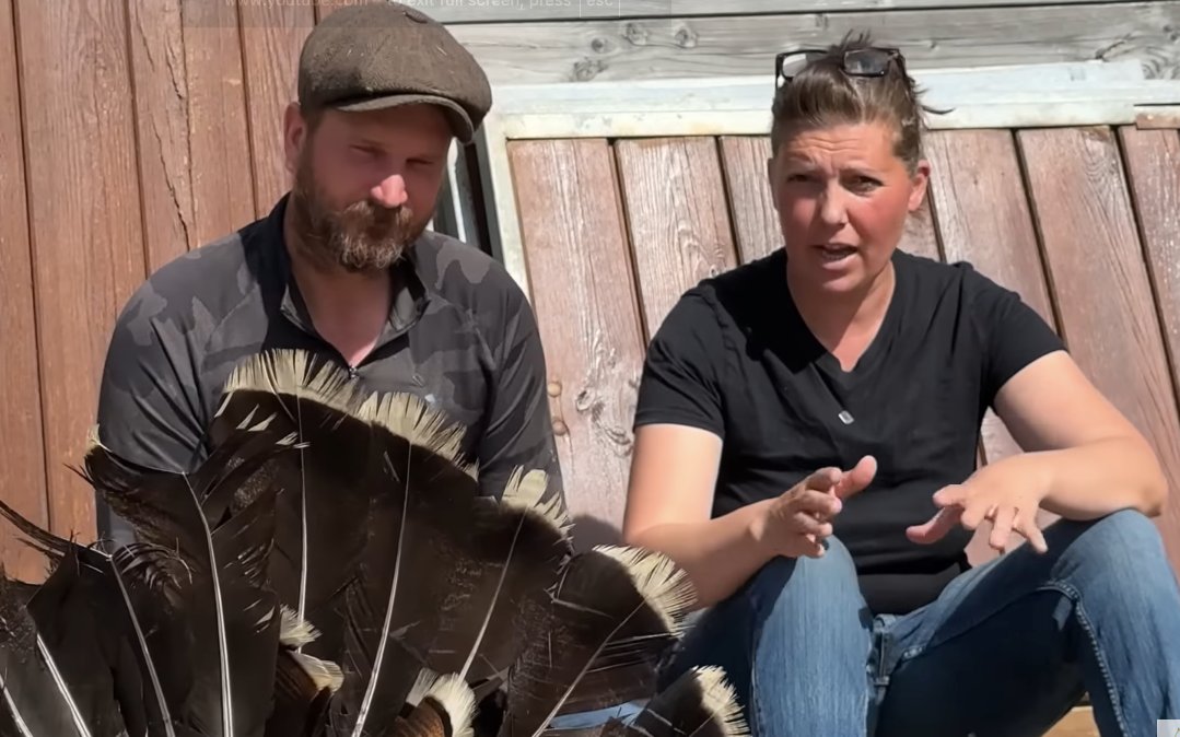 HermioneCameron's tweet photo. I really 🤩 this family! They rescue animals, including donkeys and showjumping legends. #horses
This is the moment Harold The Turkey reminds Jennie he has a crush on Nick Moon 🤩
But there's MORE #TheMoons and it's wonderful. ❤️
https://t.co/0Ml1UecriT https://t.co/9bccwVigbD