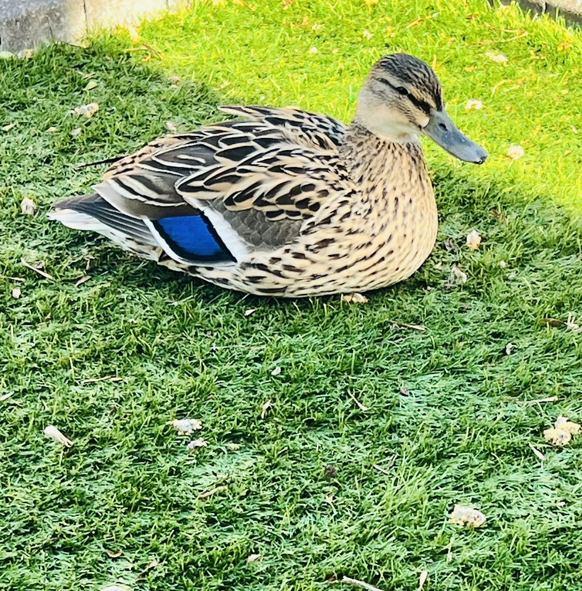 P🏖️❤️ tweet media