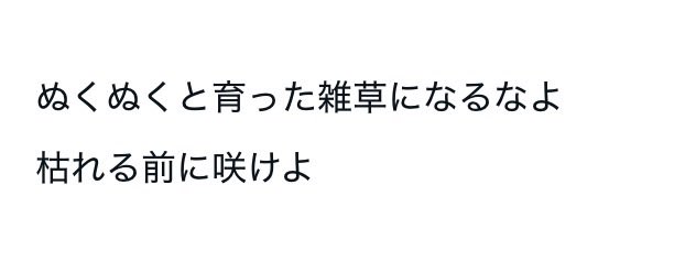 ③0 tweet media