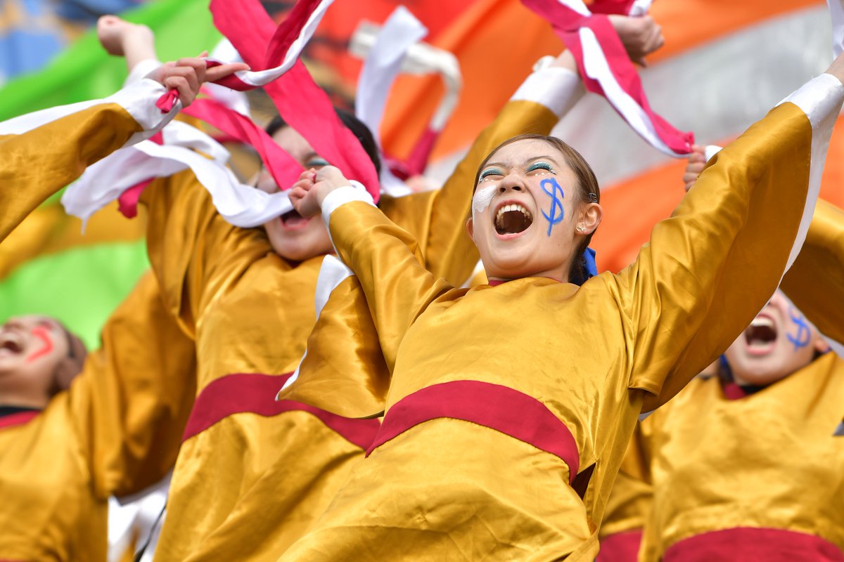 てりー★よさこい写真専用垢 tweet media