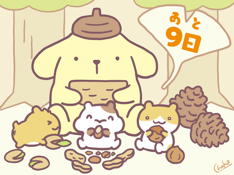 あちゃこ🍩🍩 tweet media