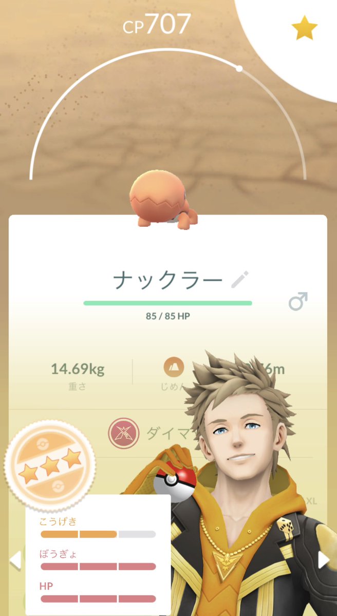 冒険の熊吉【ポケモン実況者】🐻🎁 tweet media