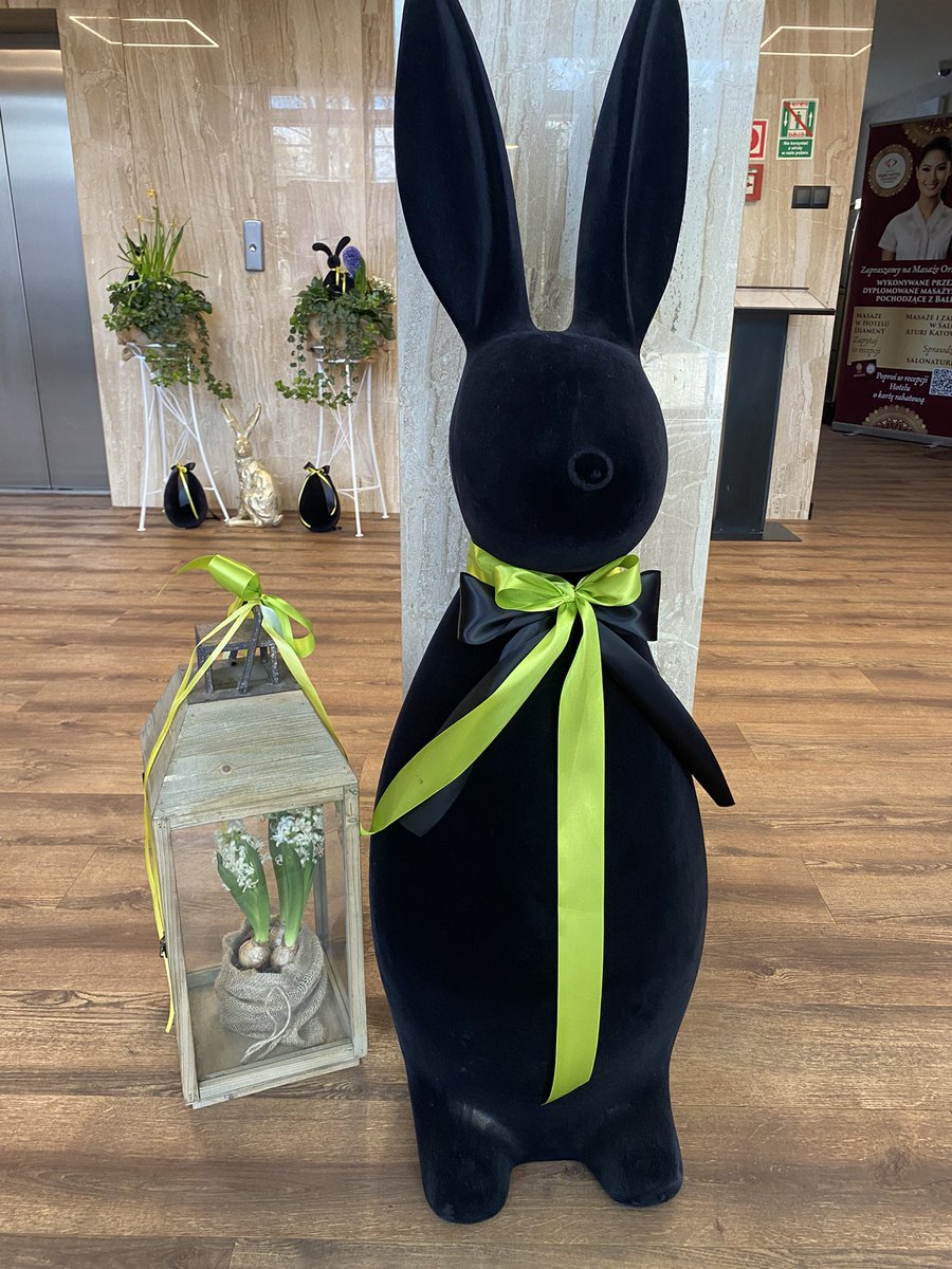 European Chess Union tweet media