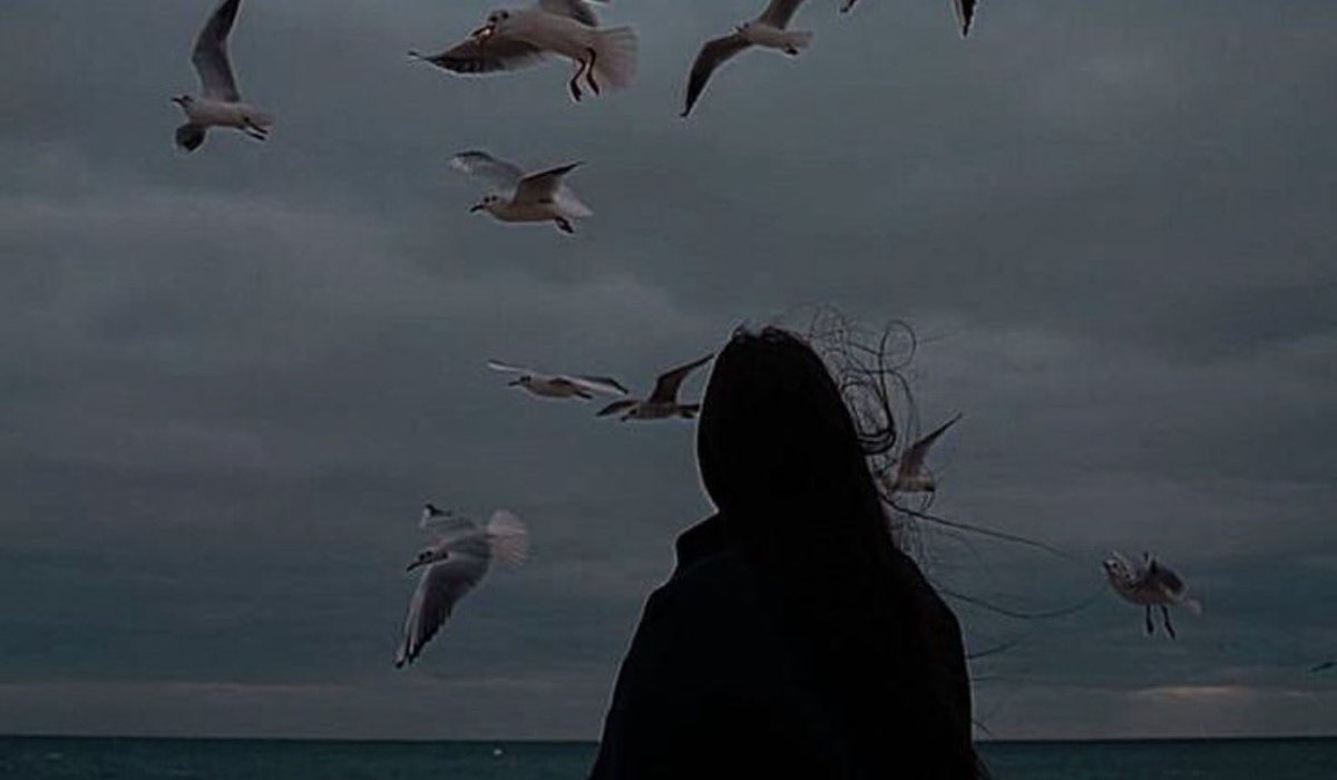 🦋 Pretty tweet media