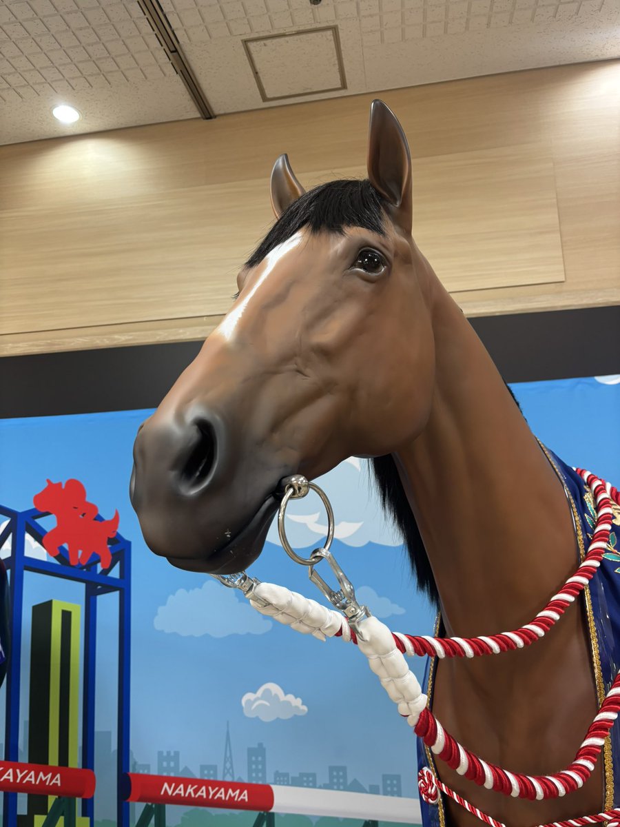 おどう tweet media