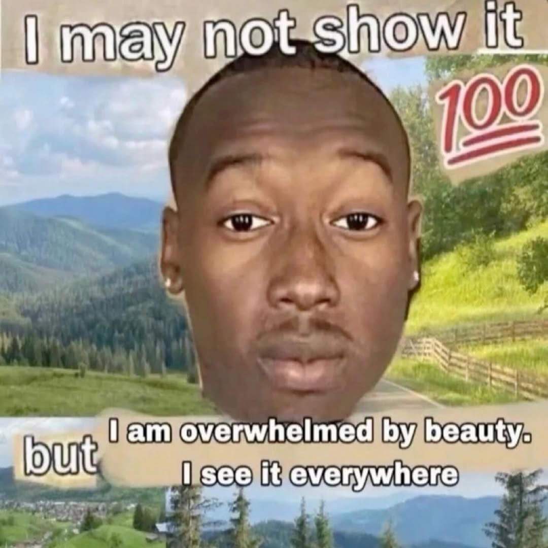 hopecore tweet media