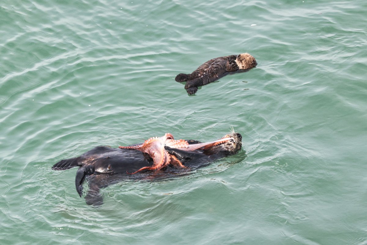 ๆธฉๆ นๆนฏๆธฉๆณใฎไบบโจ๏ธ tweet media