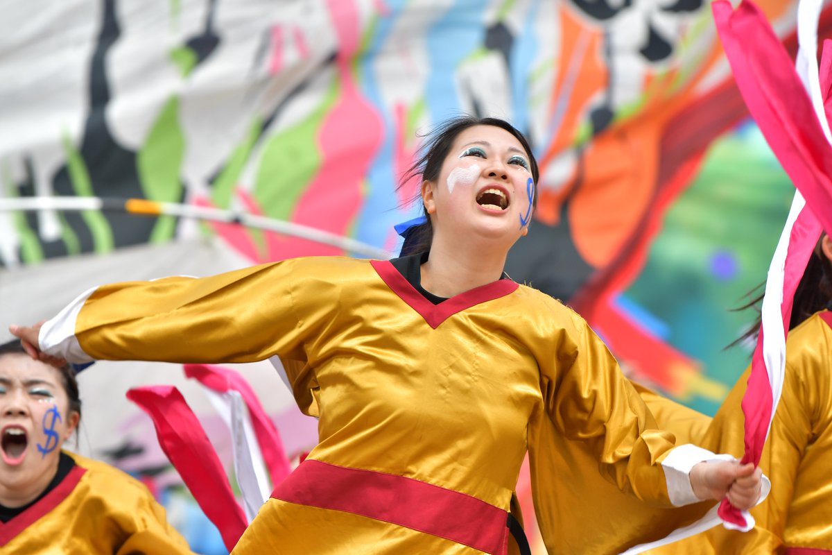 てりー★よさこい写真専用垢 tweet media