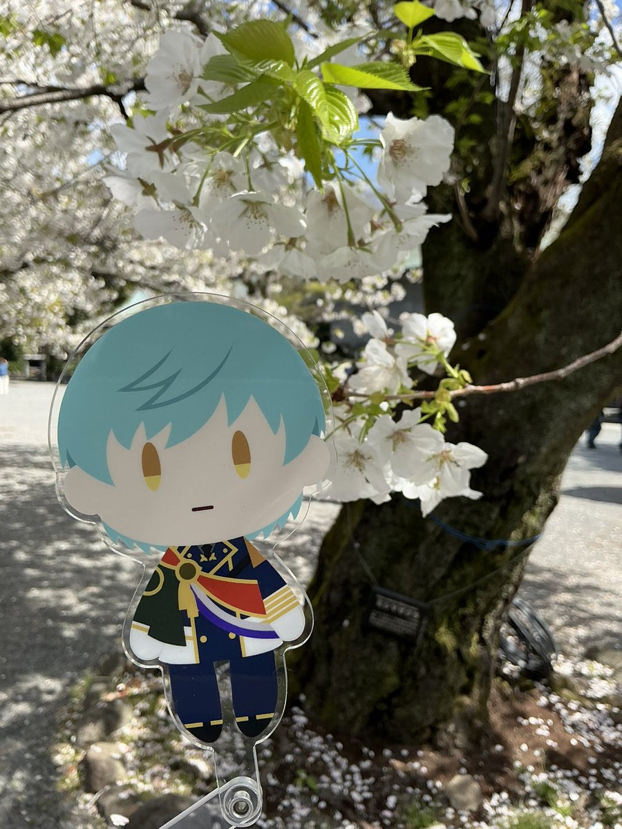 一期一振 「というわけで(?)いつも売り子をしてくれるもんちゃんがしぞーか来てくれたので、伊」|かるた🕊Let's Go TOKYO❤のイラスト