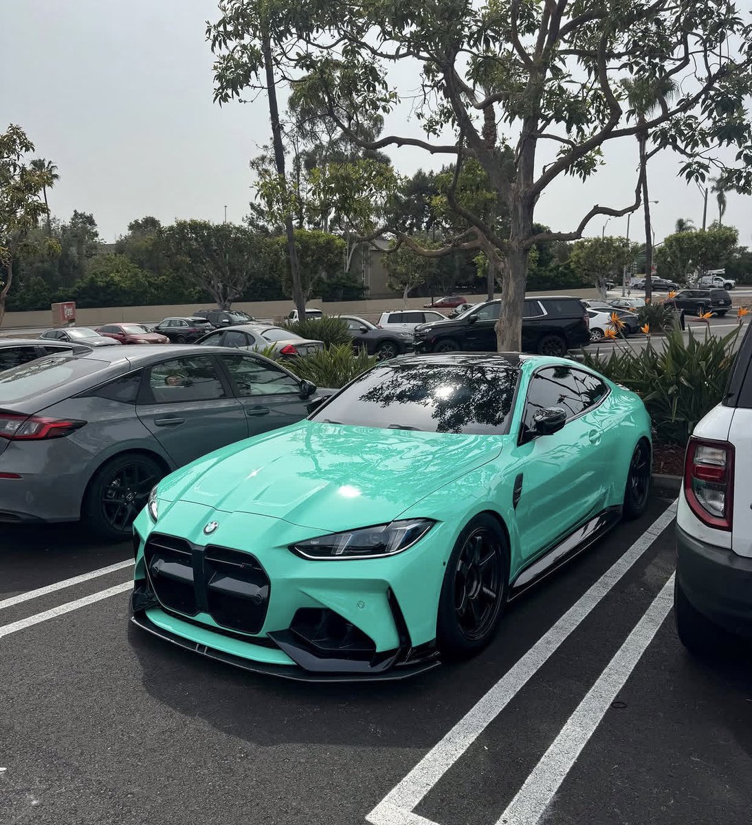 BMWM Fans tweet media