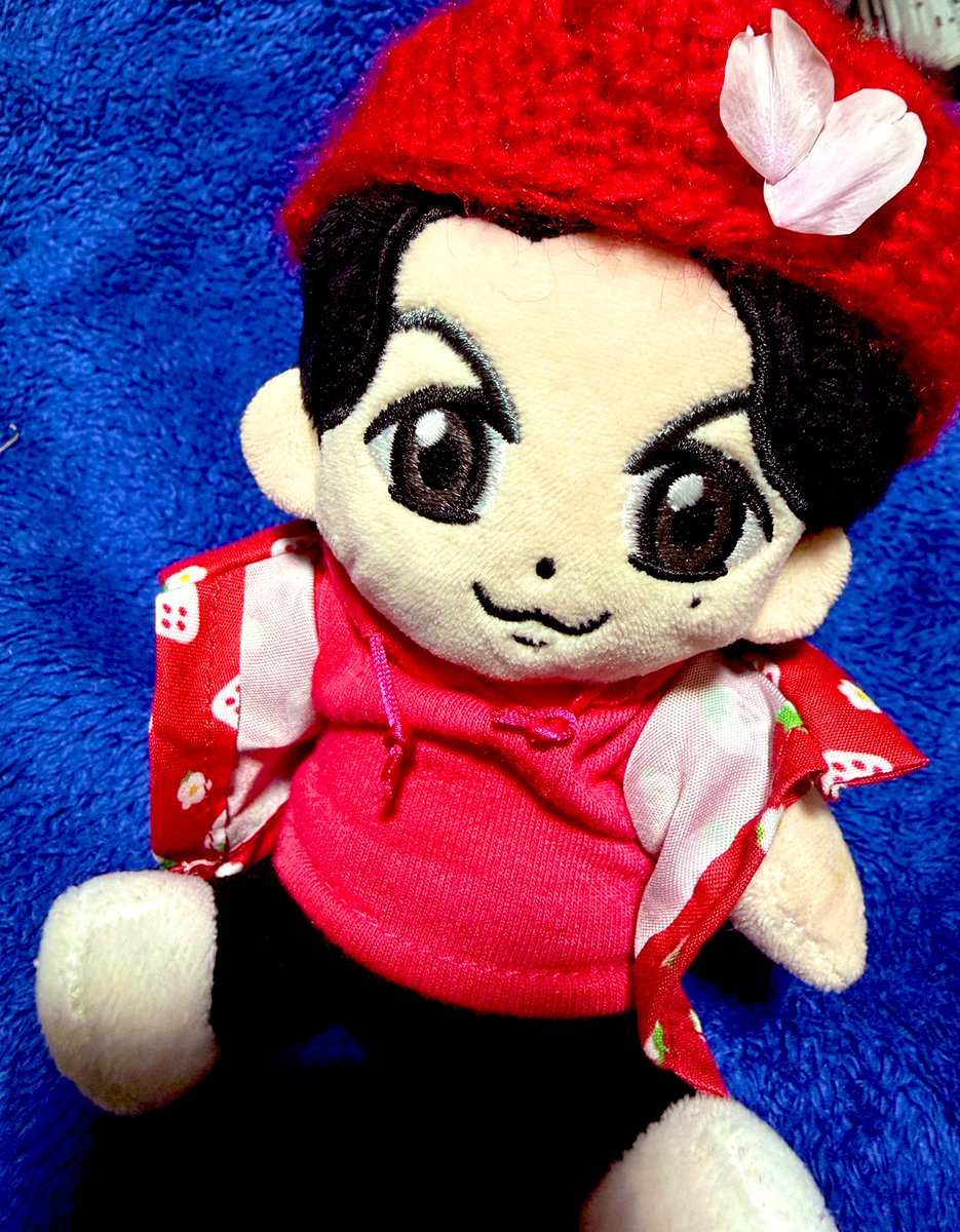 ひとみ🐬 tweet media