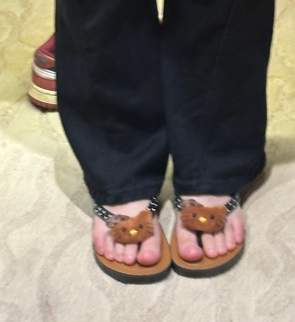 杨草莓熊 tweet media